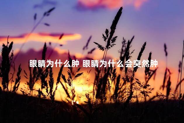 眼睛为什么肿 眼睛为什么会突然肿